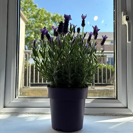 Cosy 2-bedroom Near Airport *