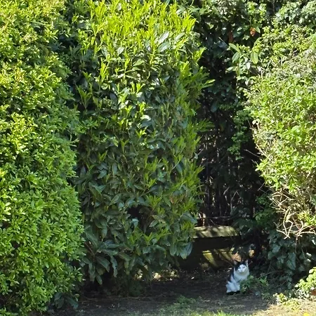 Apartmán Cosy 2-bedroom Near Airport *