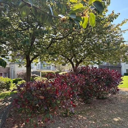 Cosy 2-bedroom Near Airport Apartmán