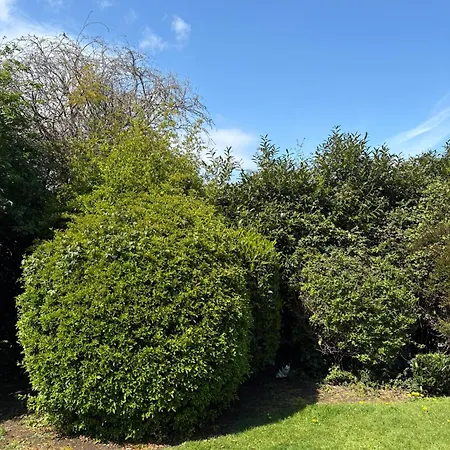 Cosy 2-bedroom Near Airport Apartmán *