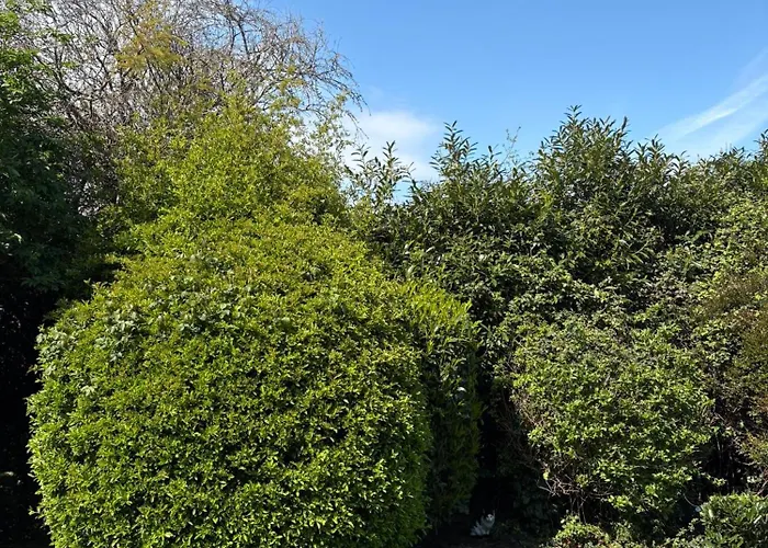 Cosy 2-bedroom Near Airport Appartamento *